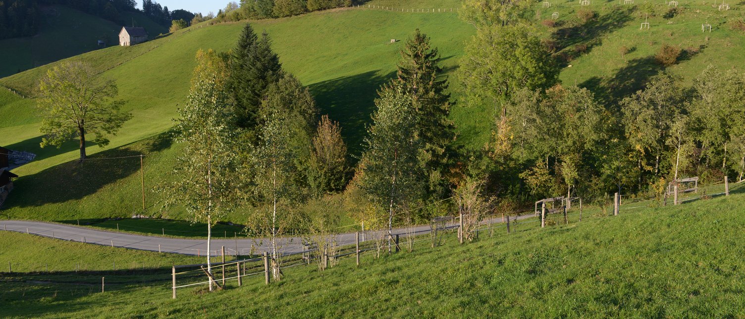 Gehölzinsel Baumhof Urnäsch